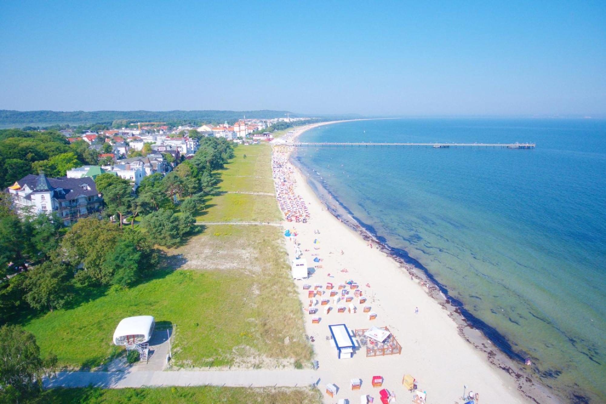 Stranddistel 2 7 Strandnah
